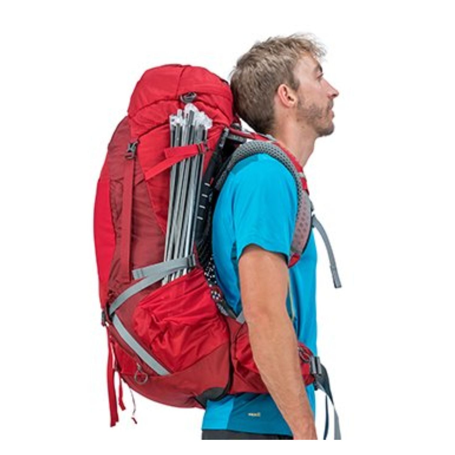 Osprey Atmos AG 65 Backpack with Raincover - Large - Men's Backpacking (SA)
