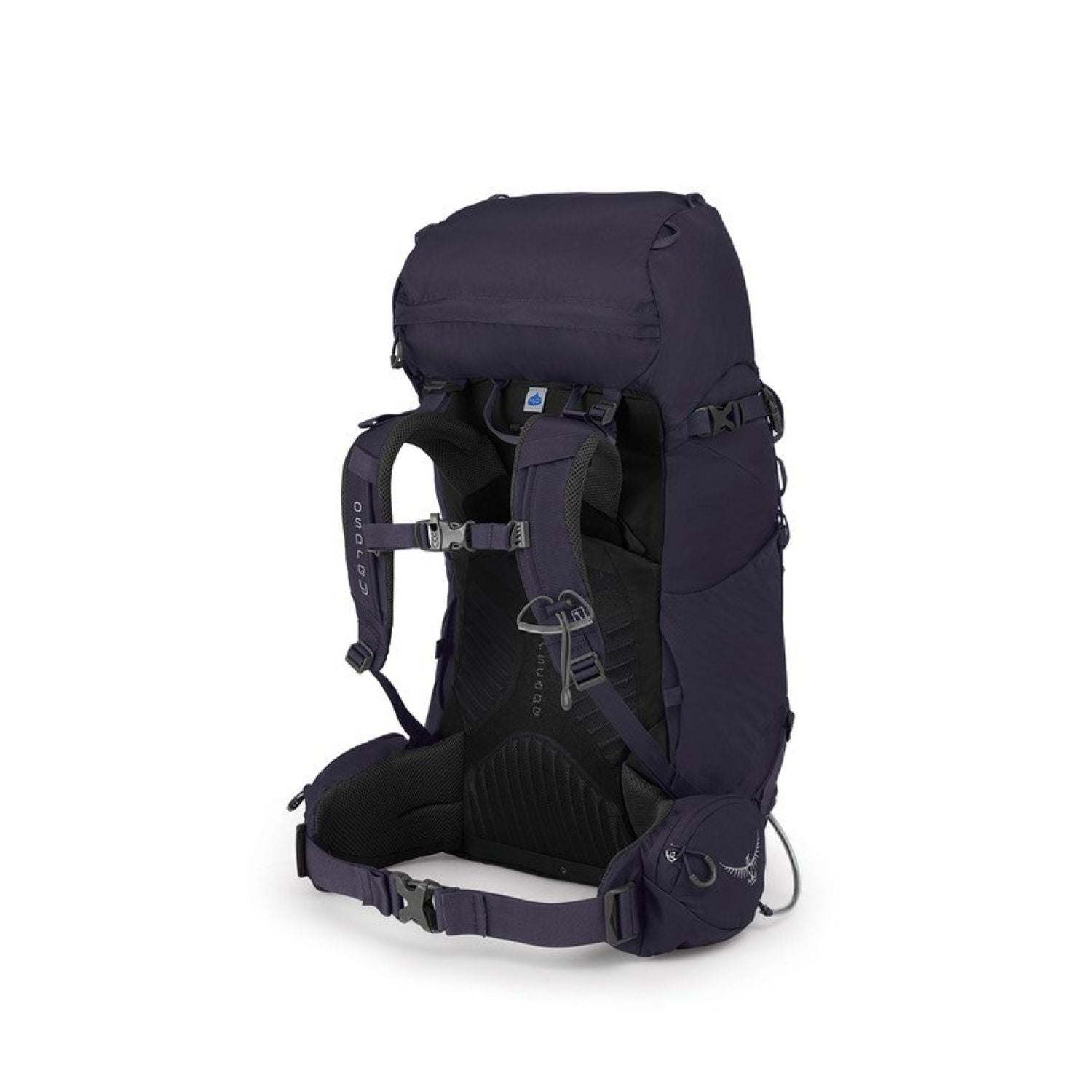 Osprey Kyte 36 Backpack - Extra Small/Small - Women's Backpacking - Day Hiking