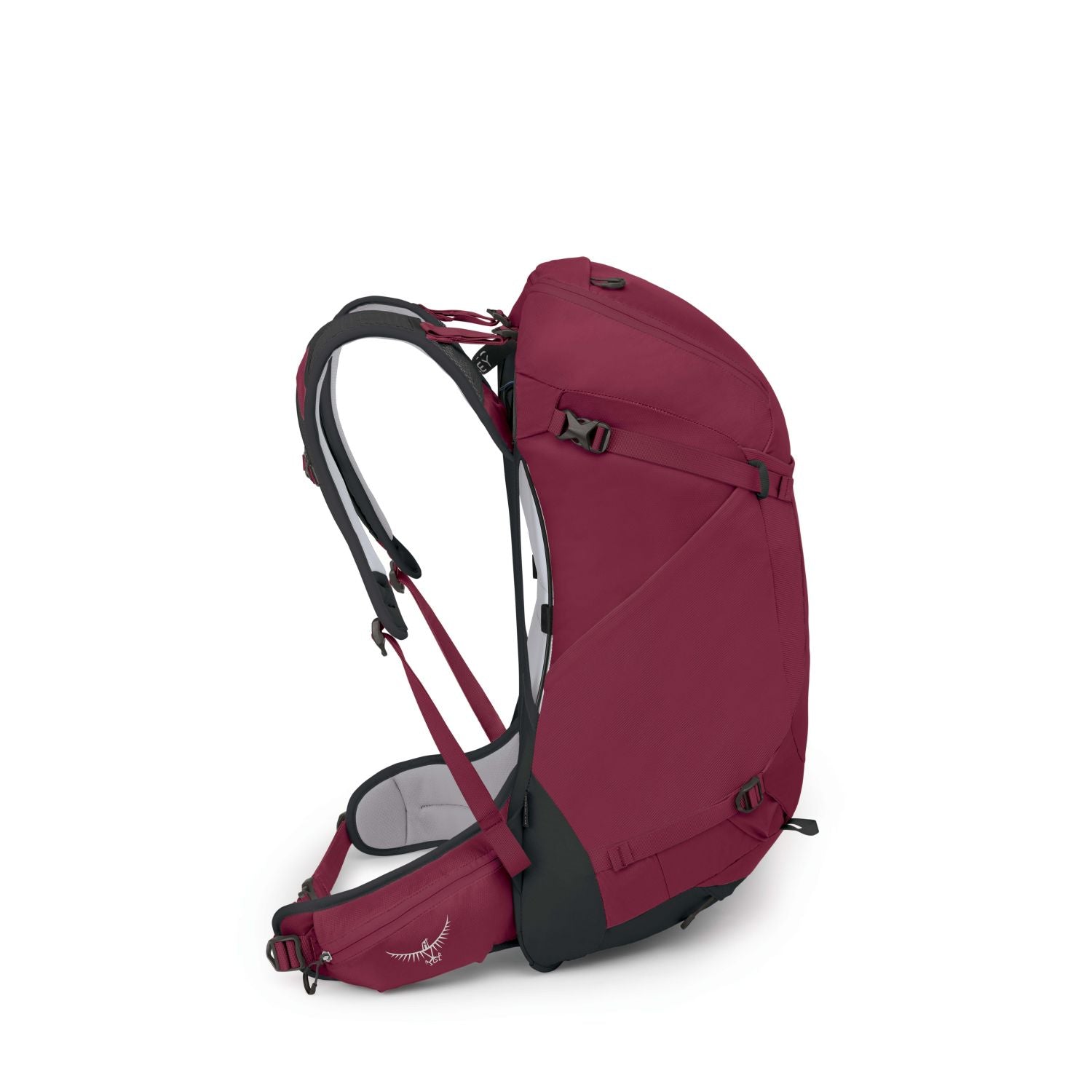Osprey Hikelite 32 Backpack M/L (SA)