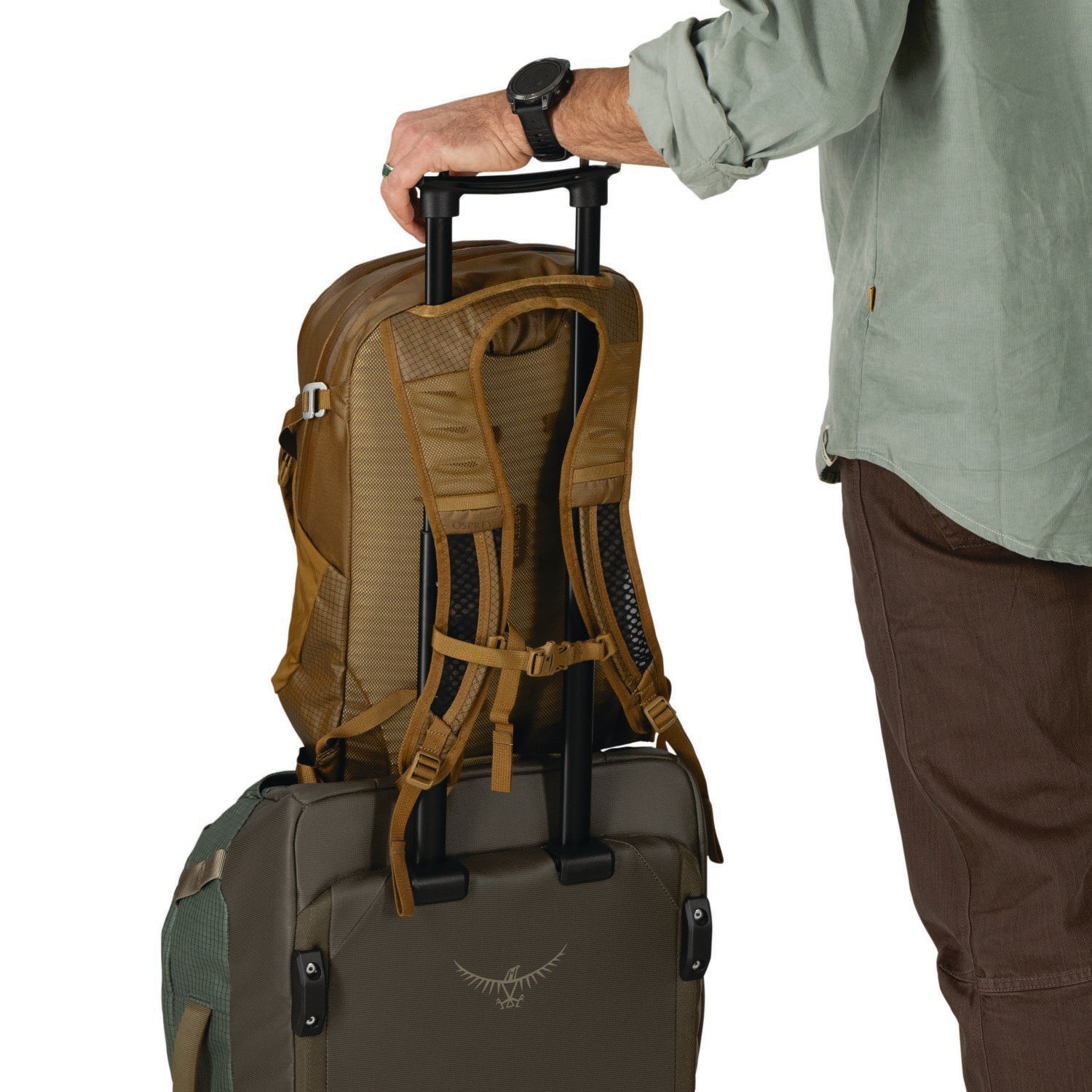 Osprey Daylite Plus Ltd Backpack O/S